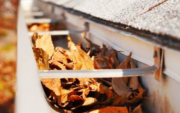 Green Moor gutter cleaning companies